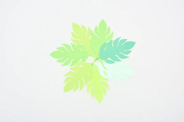 Vue du dessus des feuilles tropicales coupées en papier vert isolées sur blanc avec espace de copie — Photo de stock