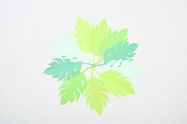 Vista dall'alto di foglie tropicali taglio carta verde isolato su bianco con spazio copia — Foto stock