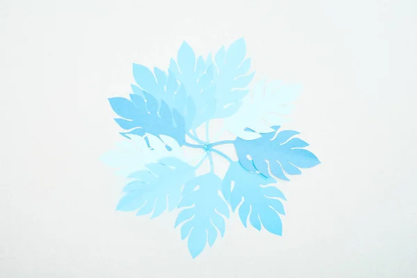 Vue du dessus des feuilles tropicales coupées en papier bleu isolées sur blanc avec espace de copie — Photo de stock