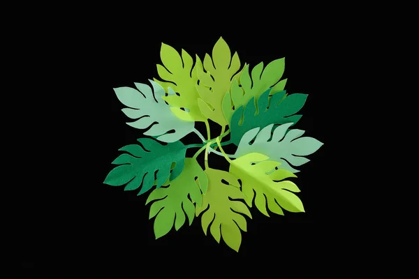 Top view of paper cut green leaves isolated on black, background pattern — Stock Photo