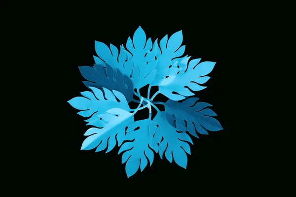 Top view of paper cut blue leaves isolated on black, background pattern — Stock Photo