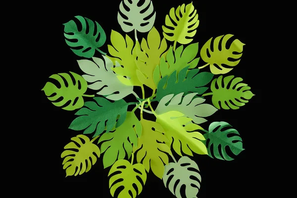 Top view of paper cut green tropical leaves isolated on black, background pattern — Stock Photo