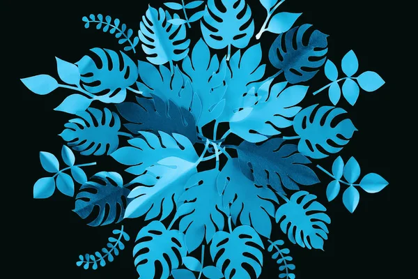 Top view of paper cut blue leaves isolated on black, background pattern — Stock Photo