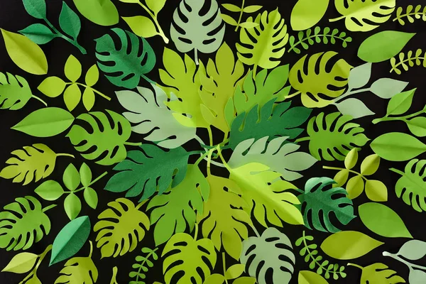 Top view of paper cut green leaves isolated on black, background pattern — Stock Photo
