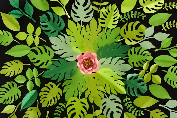 Vista dall'alto di carta taglio foglie verdi con fiore rosa isolato su nero, modello di sfondo — Foto stock