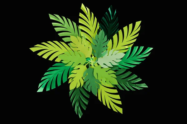 Top view of paper cut green leaves isolated on black, background pattern — Stock Photo