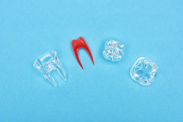 Верхний вид модели силиконового зуба рядом с красным зубным корнем и зубными пломбами, изолированными на синем — стоковое фото