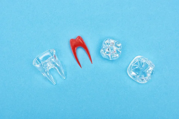 Top view of silicone tooth model near red dental root and tooth fillings isolated on blue — Stock Photo