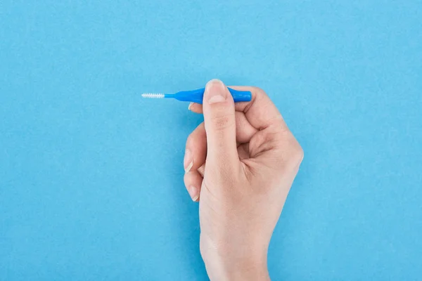 Cropped view of woman holding inter dental teeth cleaning brush isolated on blue — Stock Photo