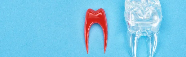 Vista panorámica del modelo de dientes de silicona cerca de la raíz dental roja aislada en azul - foto de stock