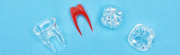 Panoramic shot of silicone tooth model near red dental root and tooth fillings isolated on blue — Stock Photo