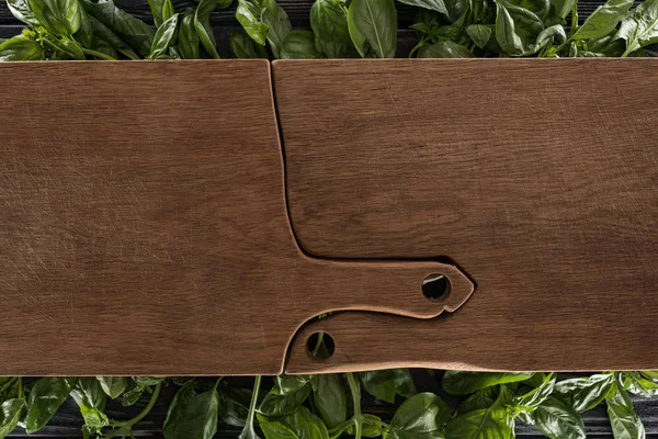 Top view of wooden cutting boards on leaves of basil — Stock Photo