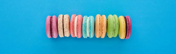 Panoramic shot of multicolored delicious French macaroons in row on blue bright background with copy space — Stock Photo