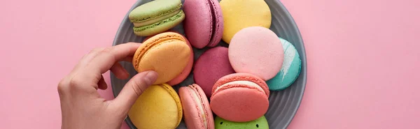 Cropped view of female hand near plate with multicolored delicious French macaroons on pink background, panoramic shot — Stock Photo