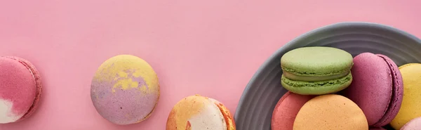 Plate with multicolored tasty French macaroons on pink background, panoramic shot — Stock Photo