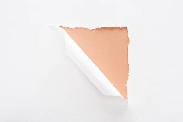 Carta bianca strappata e arrotolata su sfondo beige — Foto stock