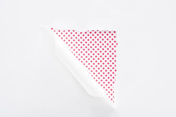 White torn and rolled paper on pink dotted colorful background — Stock Photo