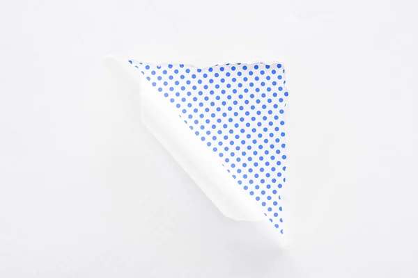 White torn and rolled paper on polka dot blue and white background — Stock Photo