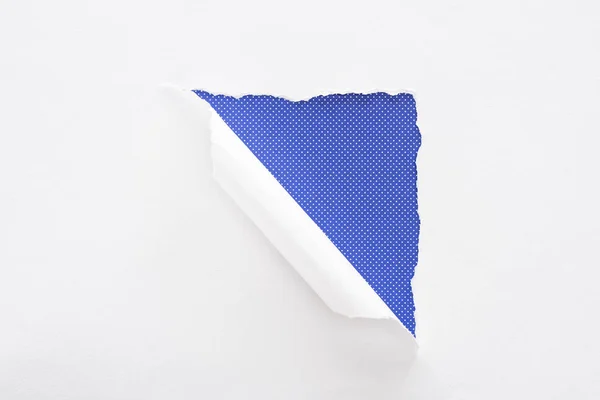 Білий рваний і прокатний папір на фіолетовому пунктирному фоні — стокове фото