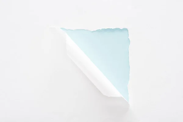 Papel blanco desgarrado y enrollado sobre fondo azul claro - foto de stock