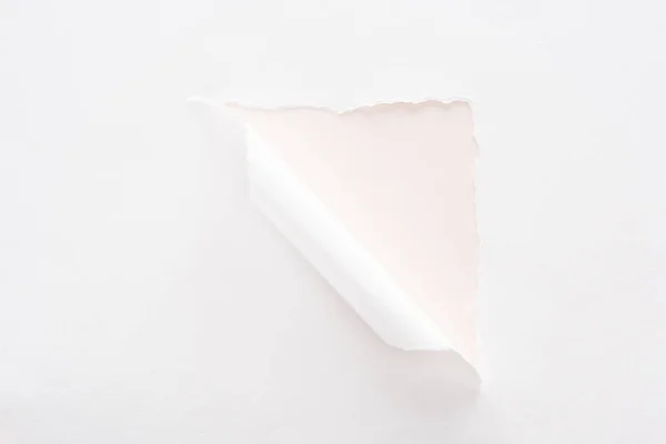 Papel rasgado e rolado branco no fundo rosa claro pastel — Fotografia de Stock