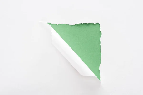 Papel branco rasgado e rolado sobre fundo verde — Fotografia de Stock