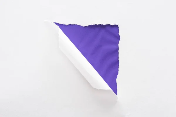 Papel blanco desgarrado y enrollado sobre fondo púrpura texturizado colorido - foto de stock