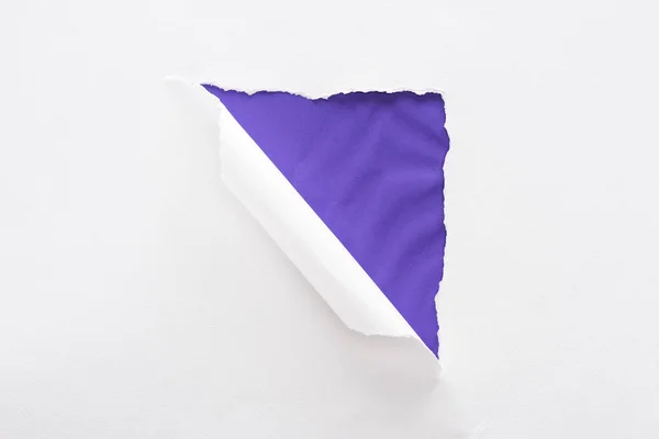 Papel rasgado e rolado branco sobre fundo roxo texturizado colorido — Fotografia de Stock