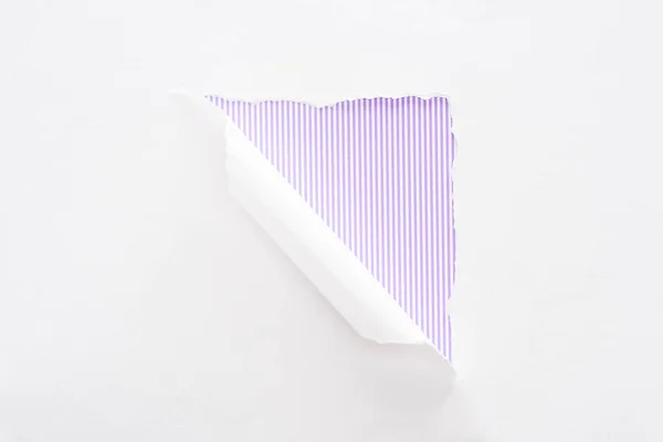 Papier blanc déchiré et laminé sur fond rayé violet — Photo de stock