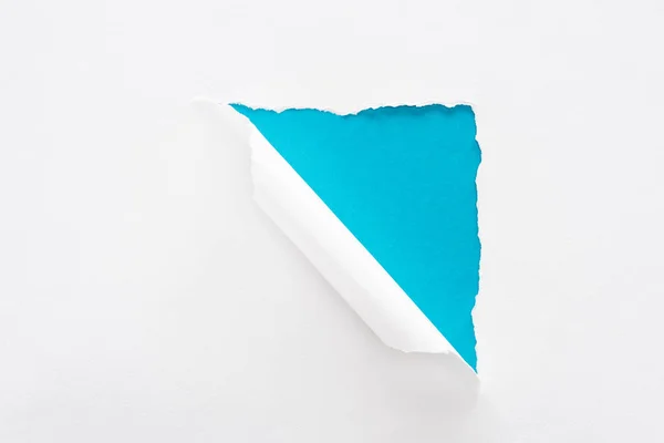 Papel rasgado e rolado branco sobre fundo azul colorido — Fotografia de Stock