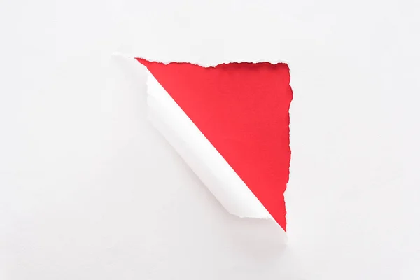 Blanco rasgado y papel enrollado sobre fondo rojo colorido - foto de stock