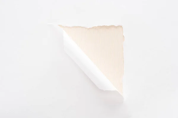 Papel blanco desgarrado y enrollado sobre fondo beige - foto de stock