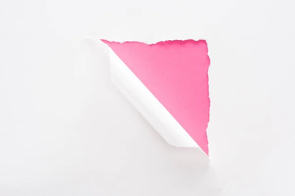 Papier blanc déchiré et roulé sur fond rose coloré — Photo de stock