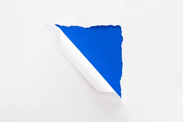 Papier blanc déchiré et laminé sur fond coloré bleu électrique — Photo de stock