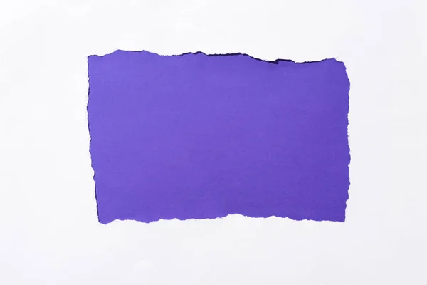 Fundo colorido roxo no buraco de papel rasgado branco — Fotografia de Stock