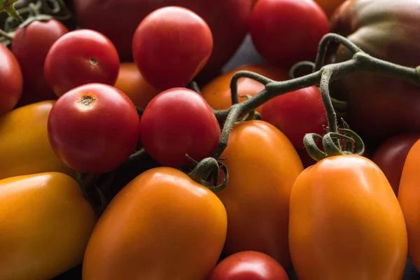 Vista de cerca de tomates amarillos, rojos y cereza - foto de stock