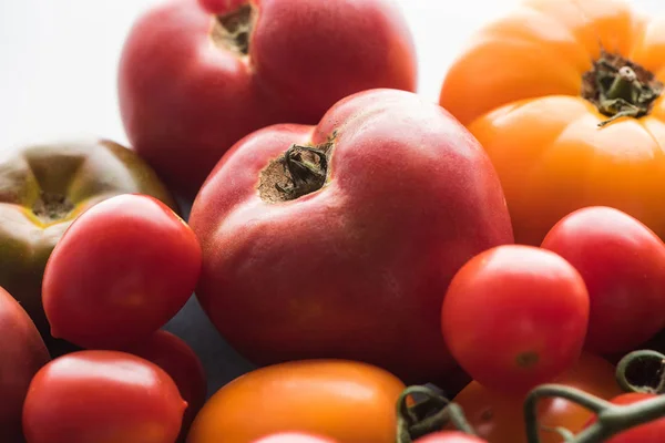 Закрыть обзор различных желтых и красных помидоров — стоковое фото