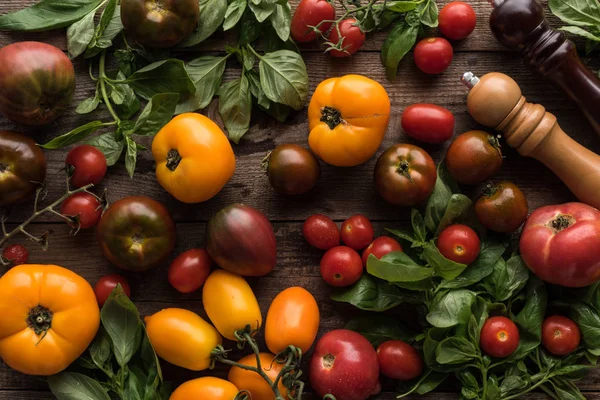 Vista superior de tomates dispersos y espinacas cerca de molino de pimienta y molino de sal en la mesa de madera — Stock Photo