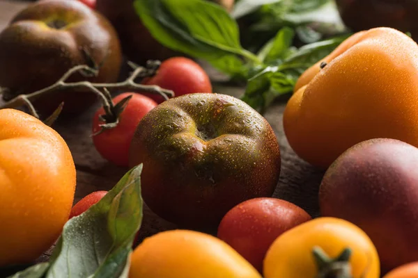 Close up view of tomatoes with spinach on wooden surface — Stock Photo