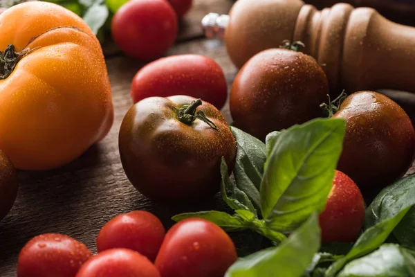 Vista de perto de tomates com espinafre perto de moinho de sal na superfície de madeira — Fotografia de Stock