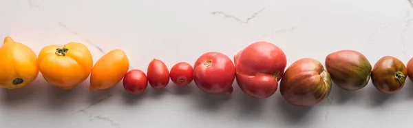 Panoramic shot of colorful tomatoes on marble surface — Stock Photo