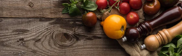 Panoramic shot of tomatoes and spinach near pepper mill and salt mill on piece of fabric on wooden surface — Stock Photo
