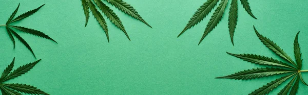 Vista superior de las hojas de cannabis verde sobre fondo verde con espacio para copiar, plano panorámico - foto de stock