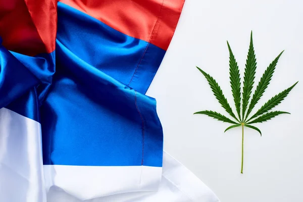 Vista superior de la hoja de cannabis verde cerca de la bandera de Rusia sobre fondo blanco - foto de stock