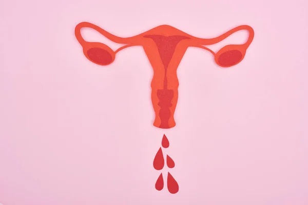 Top view of red paper cut female reproductive internal organs with blood drops on pink background — Stock Photo