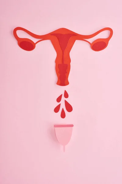 Vista superior del papel rojo cortar órganos internos reproductores femeninos con gotas de sangre y copa menstrual sobre fondo rosa - foto de stock