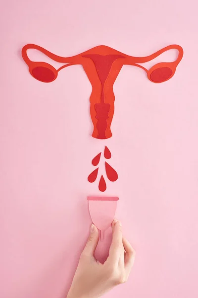 Частковий вид жінки, що тримає менструальну чашку біля червоного паперу, вирізав жіночі репродуктивні внутрішні органи з краплями крові на рожевому фоні — стокове фото