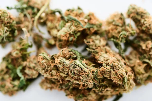 Vista ravvicinata di germogli di marijuana naturali isolati su bianco — Foto stock