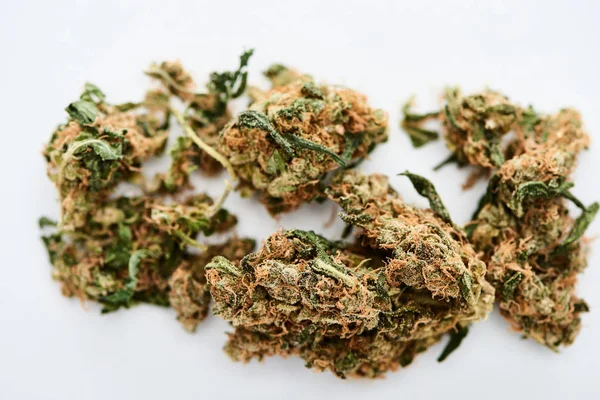 Vista da vicino di germogli di marijuana su sfondo bianco — Foto stock
