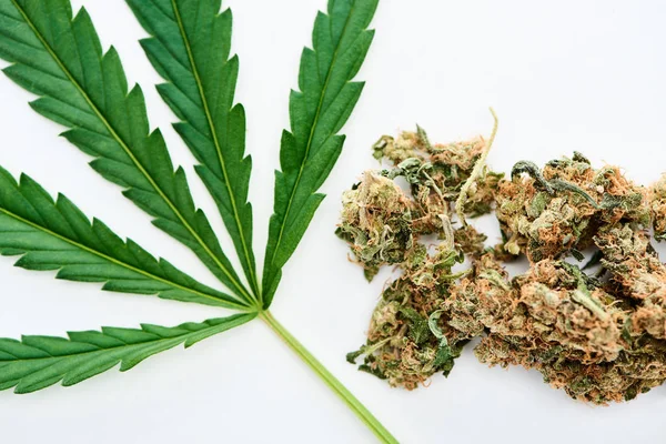 Vista superior de la hoja de cannabis verde y los brotes de marihuana aislados en blanco - foto de stock